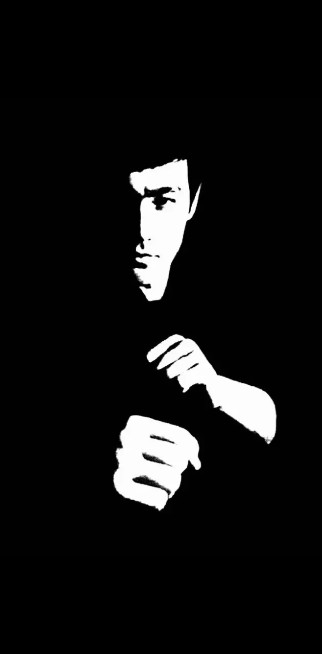 Bruce lee the master
