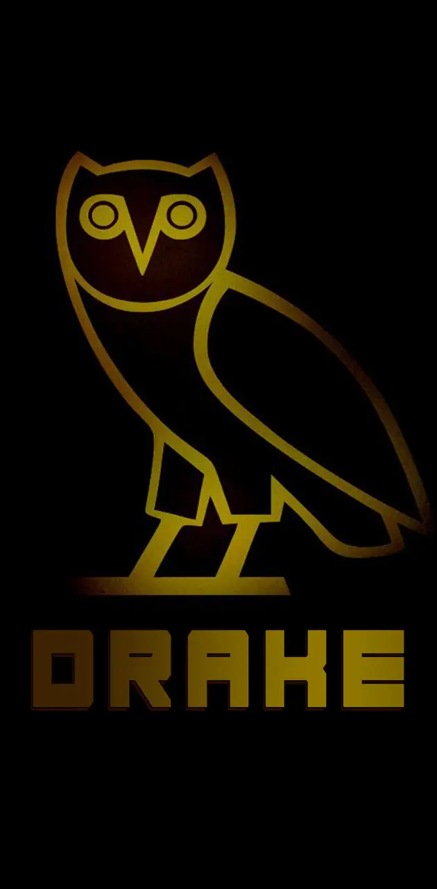 Drake Owl