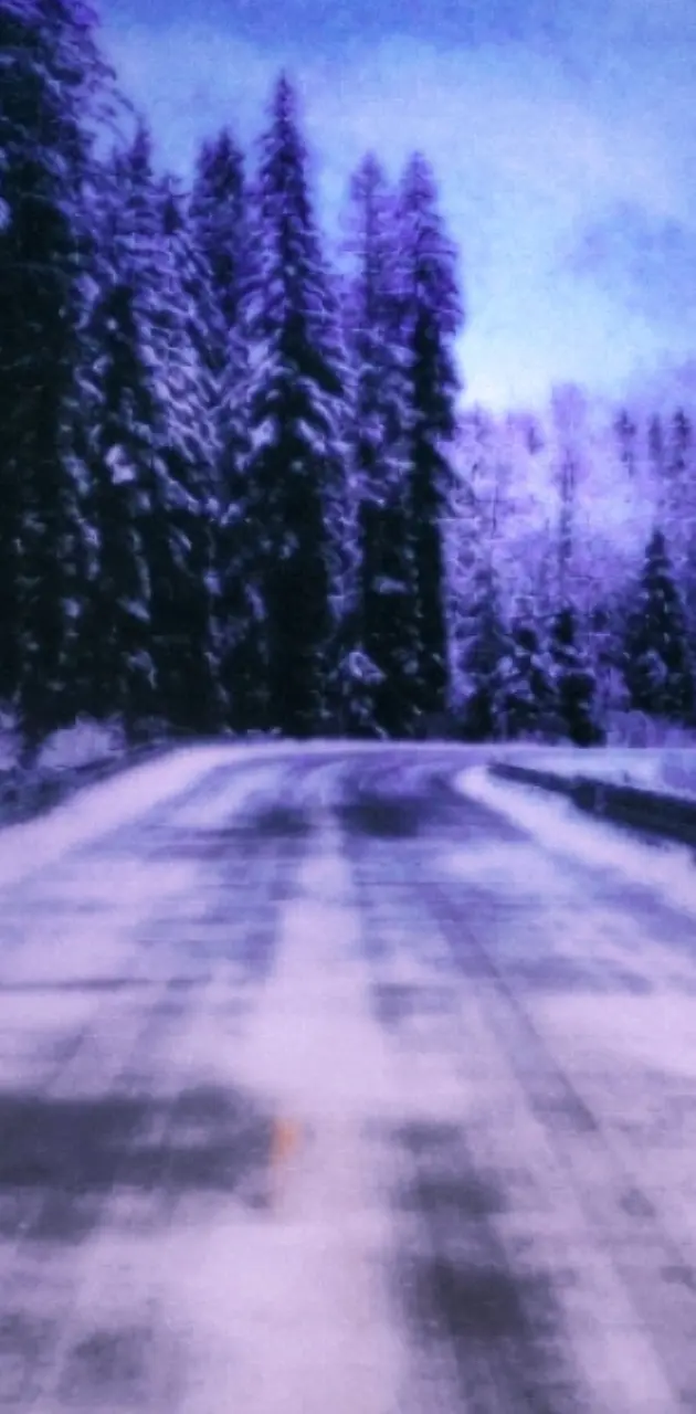 Snow forest road