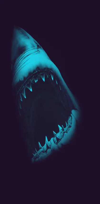 One Shark