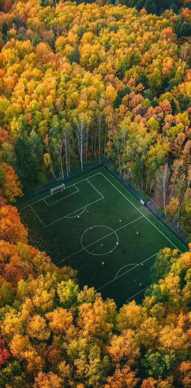 Moscow pitch