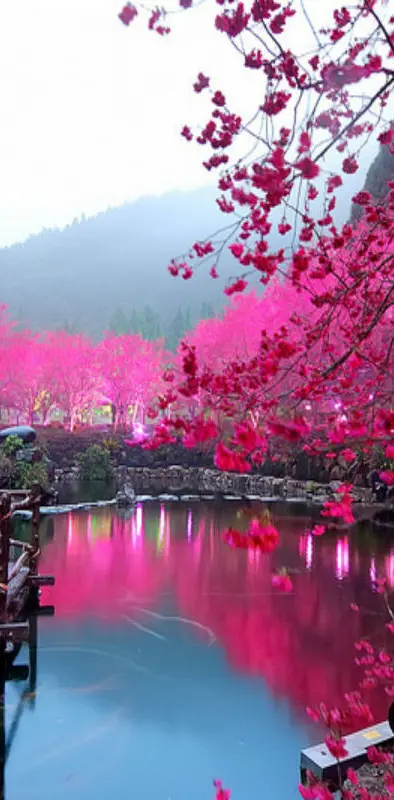Pink Nature