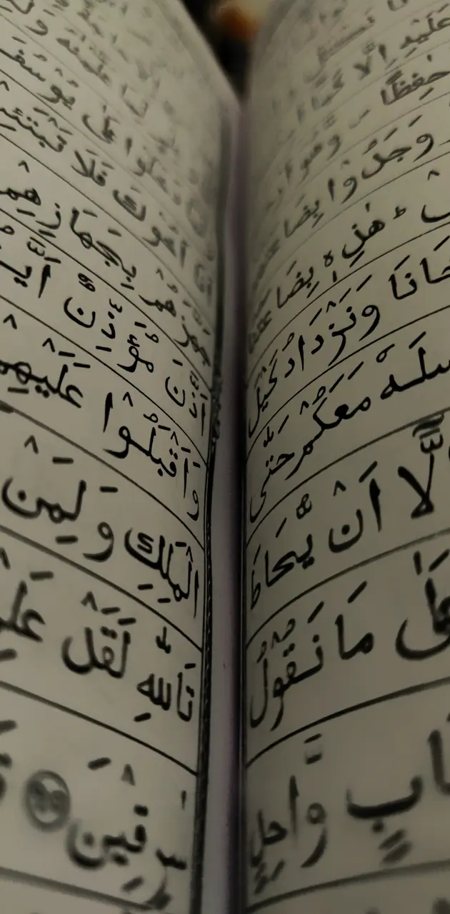 The Quran. 