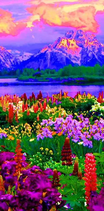 Colorful Nature