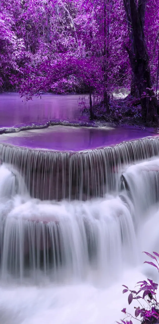 purple waterfall