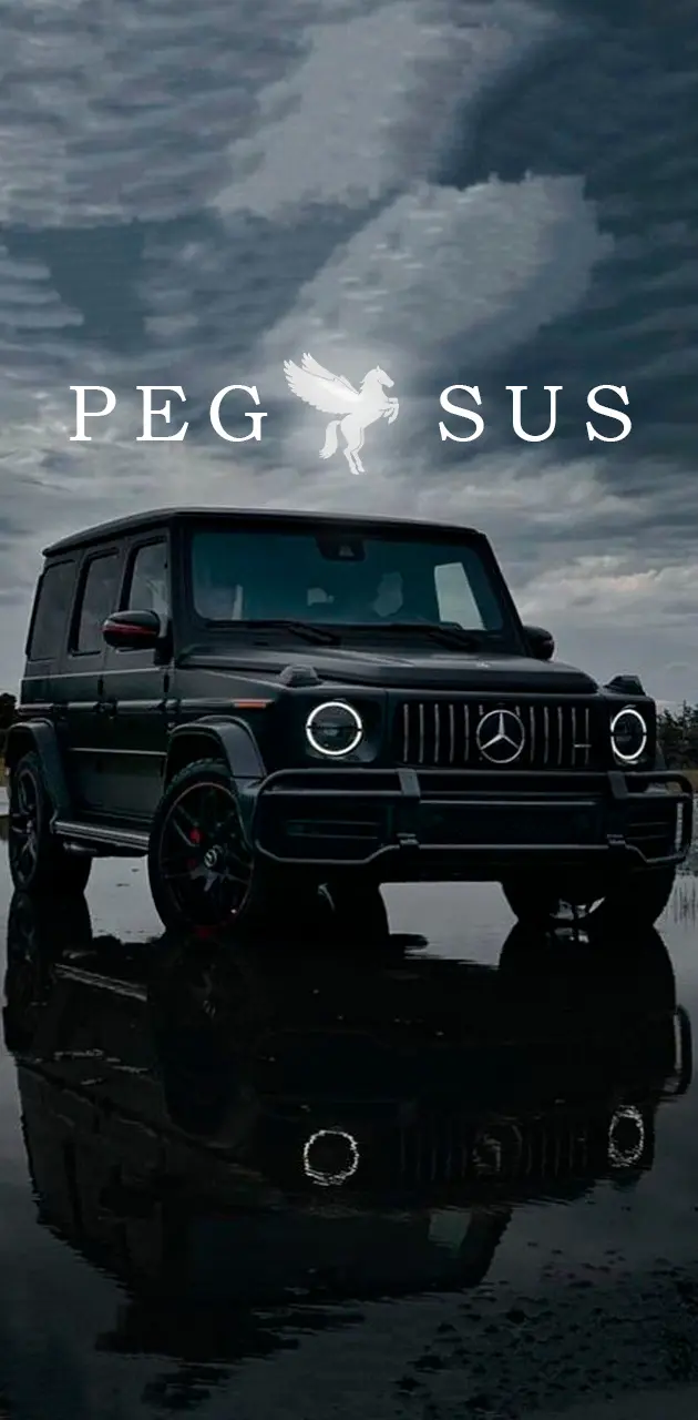 Pegasus x Mercedes