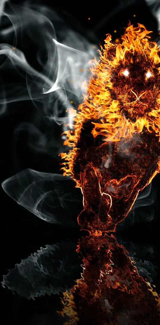 Fire Lion fractal