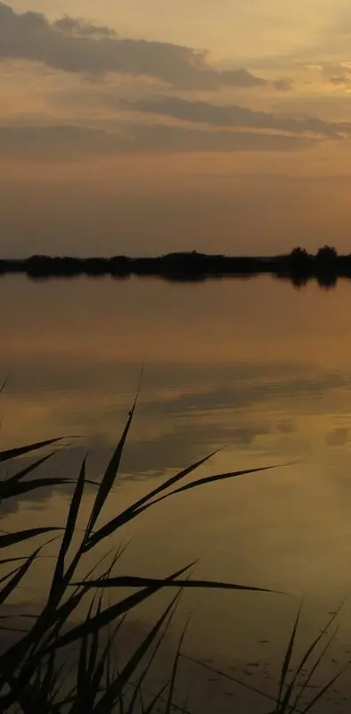 Sun Set Lake