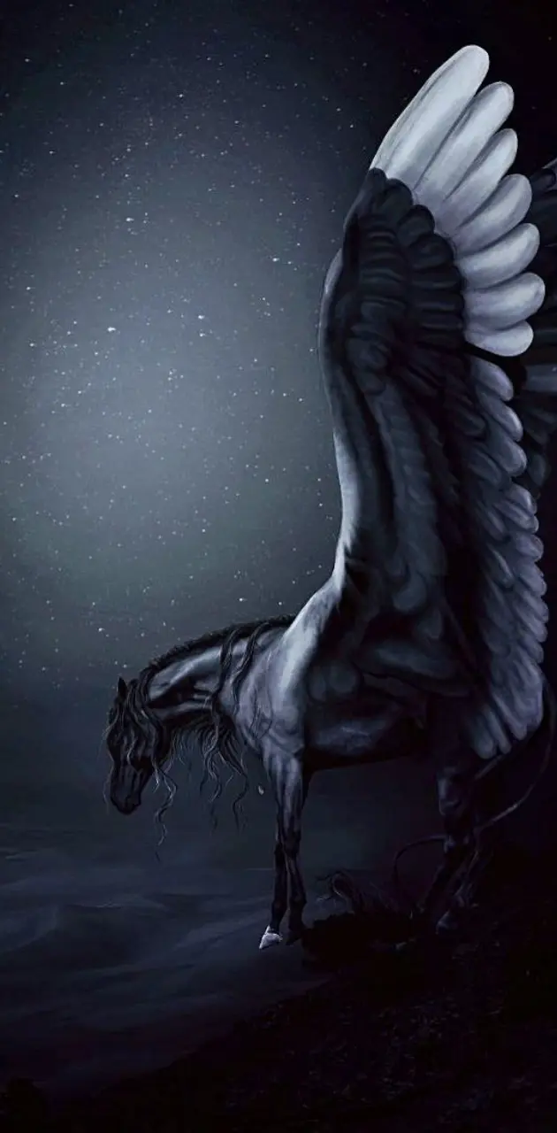 Black Pegasus 