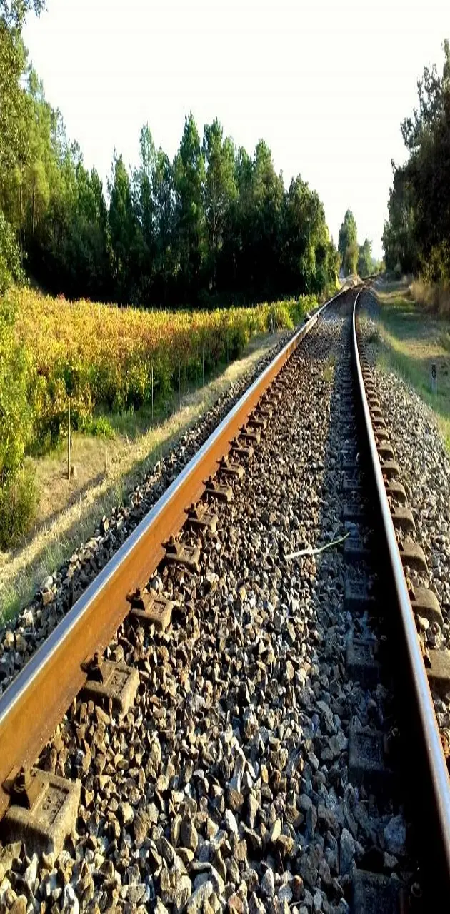 Life on tracks