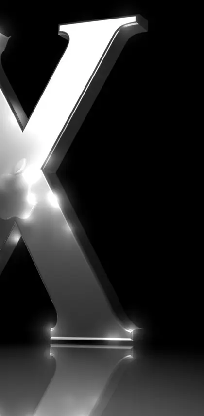 Apple X