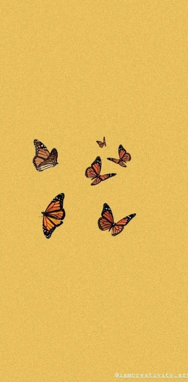 Butterflies uwu