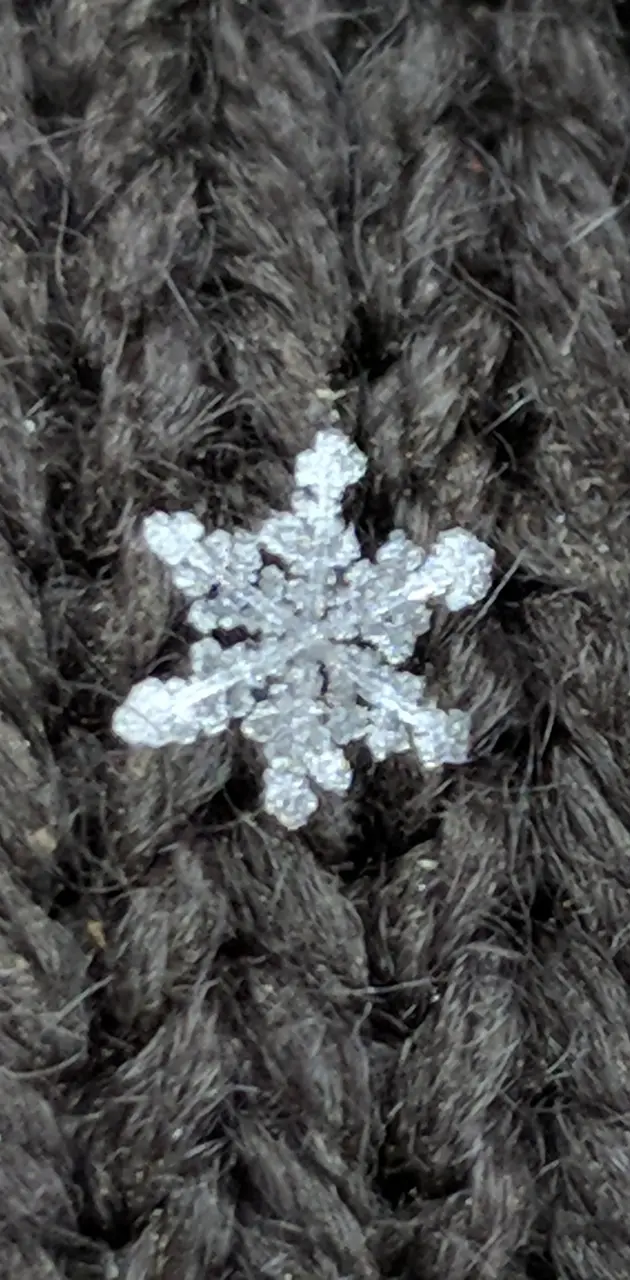 Zoomed snow flake