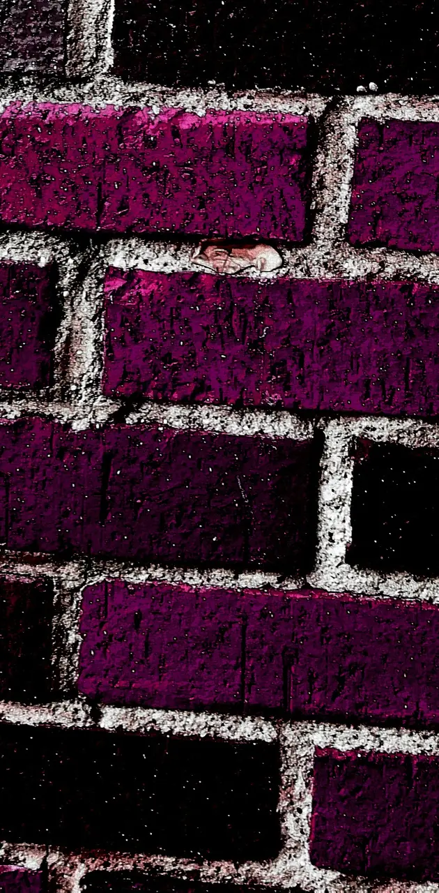 Purple brick