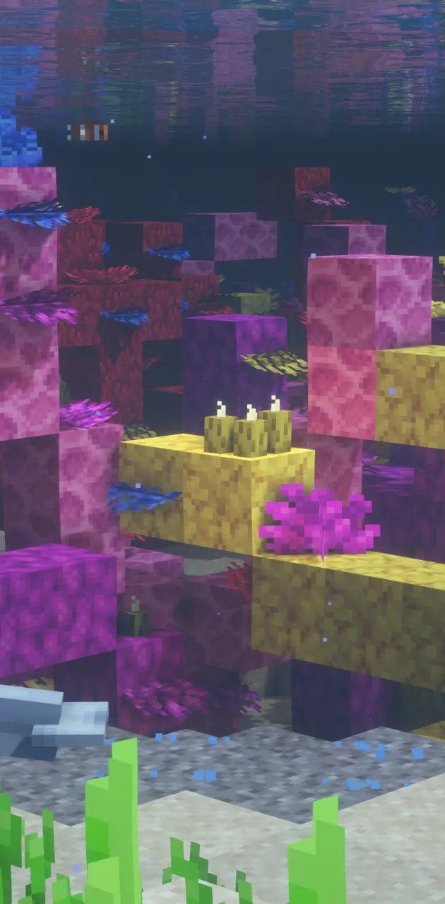 Corals Minecraft