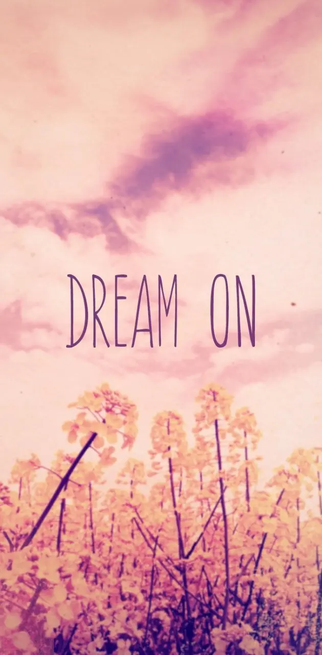 dream on