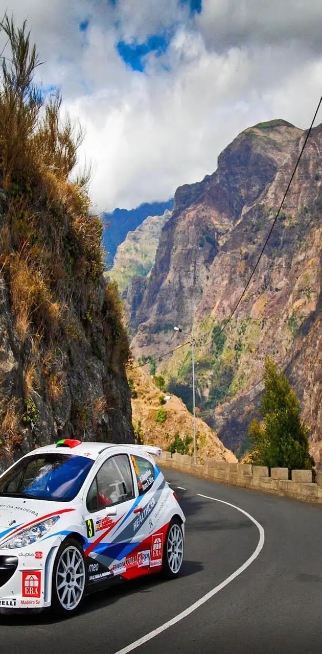 Rally car mountain