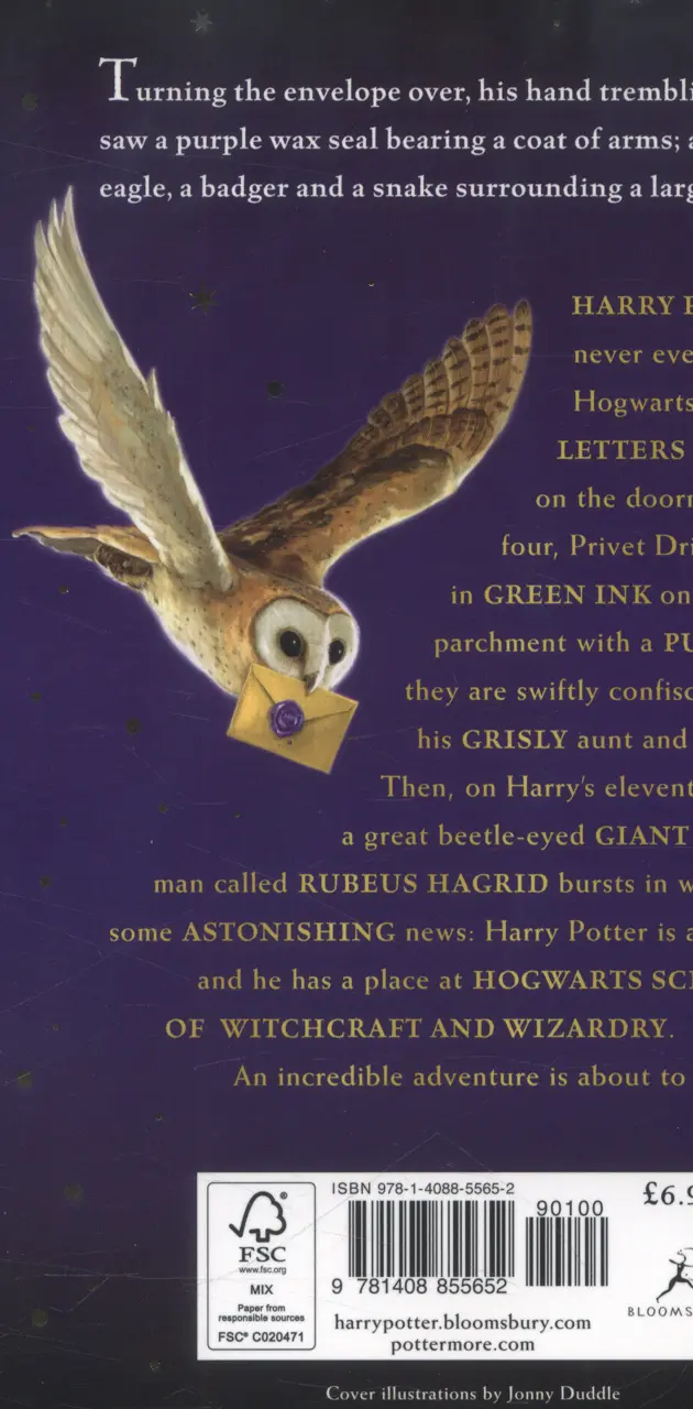 Owl Harry Potter 