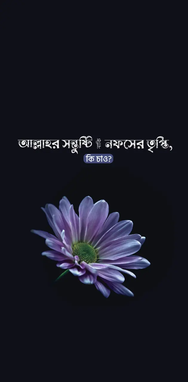 Bangla Text Wallpaper 