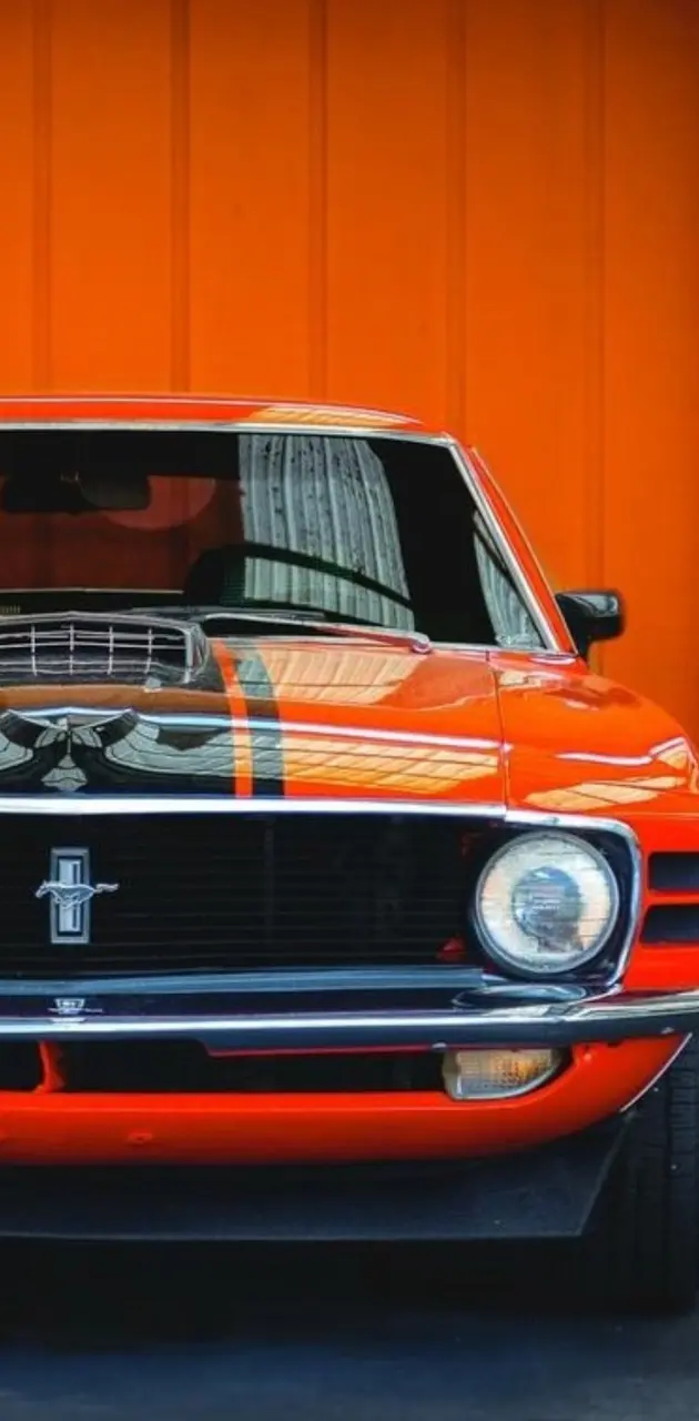 Orange Mustang 
