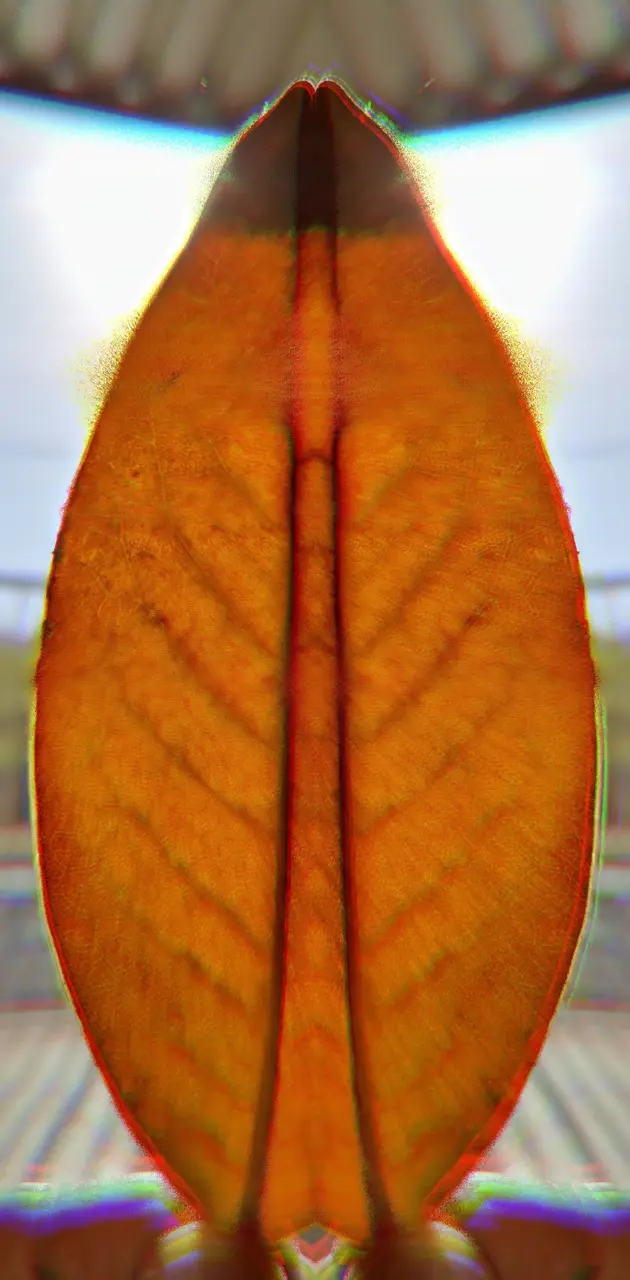 Solar Leaf