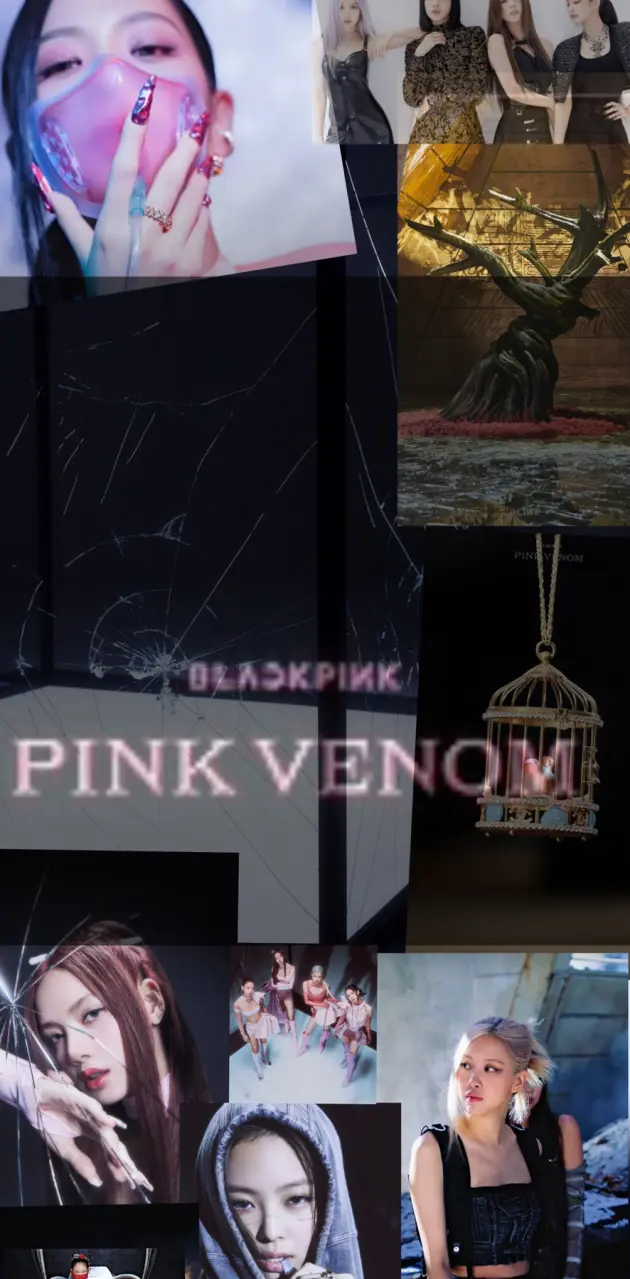 pink venom wallpaper 