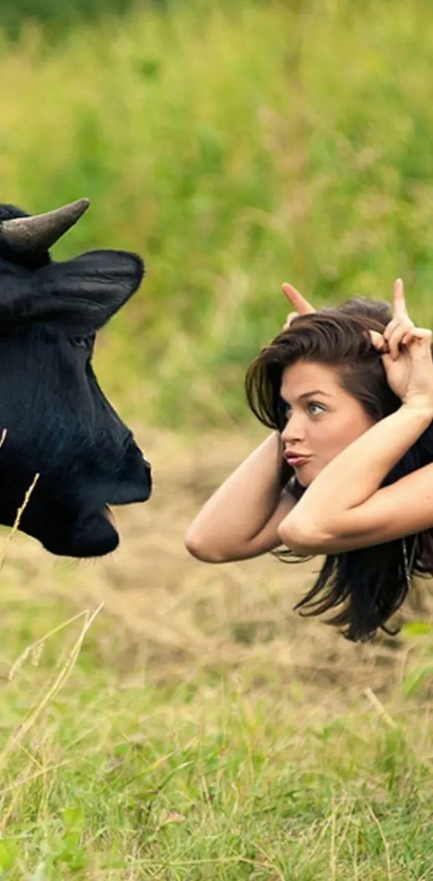 Cow Vs Girl