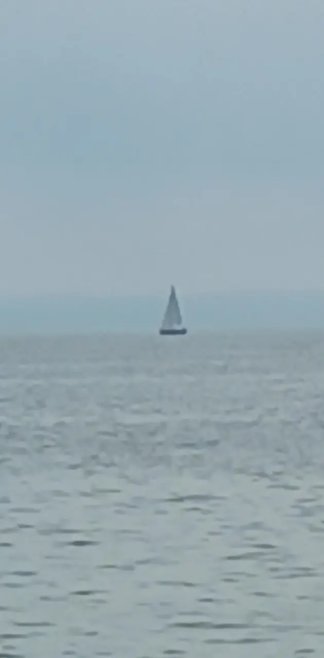 Sea with a sailboat 