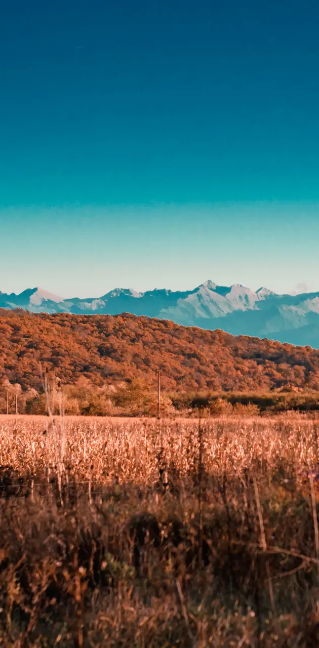 Făgăraș mountains