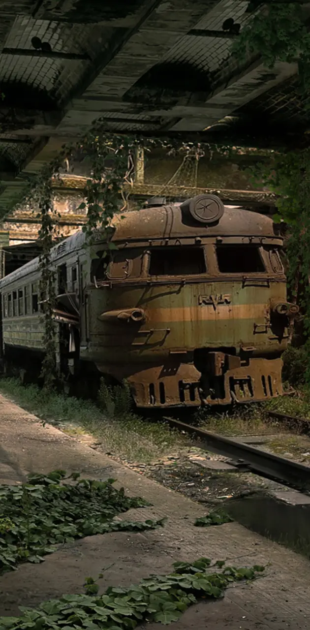 Abandonded Train