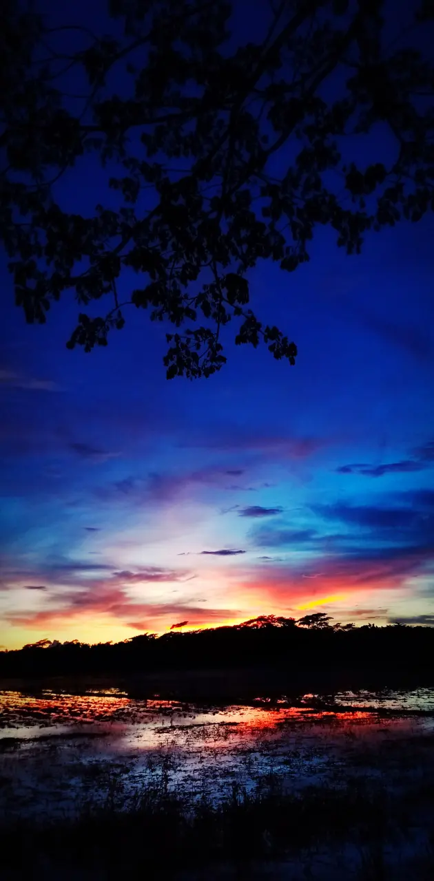 Sunset sky