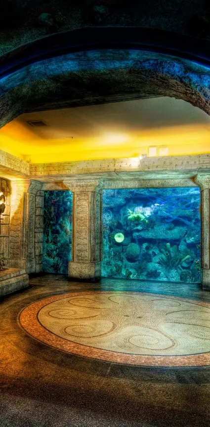 Aquarium Xperia Arc