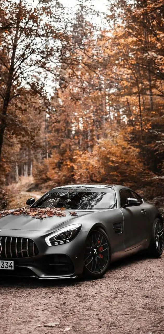 Autumn AMG GT