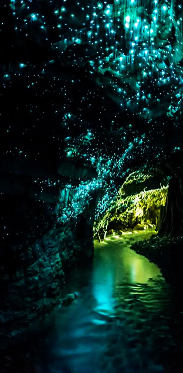 Glowworm Cave