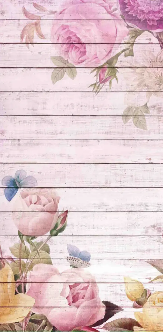 Flowers wallpaper by NikkiFrohloff - Download on ZEDGE™ | 100d