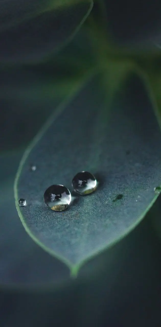 Droplets 
