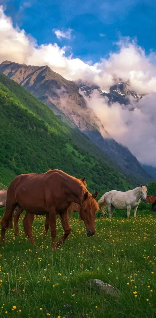 Chechen Mountains