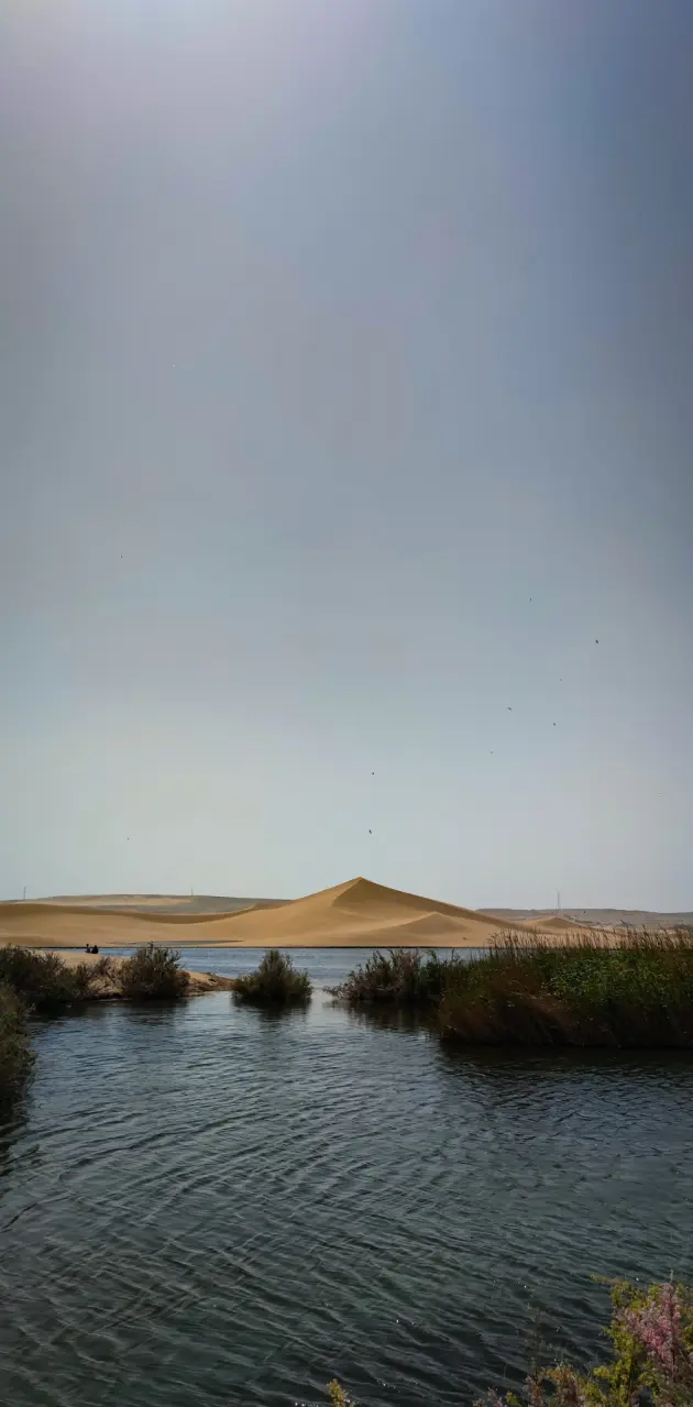 Lake in desert