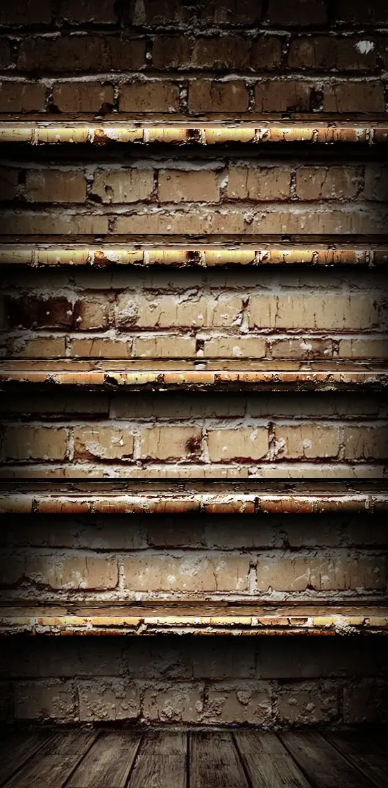 Brick Wall Shelve