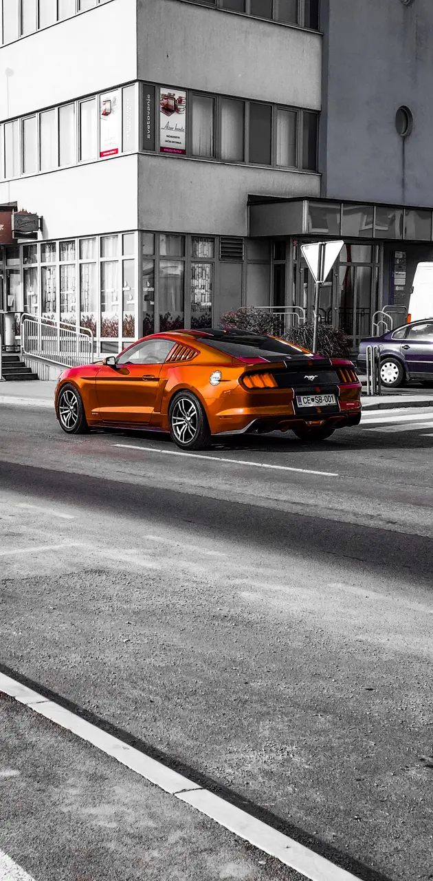 Mustang Two Tone Color