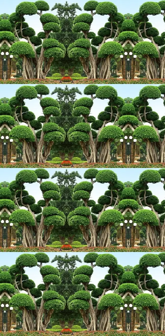 Strange trees