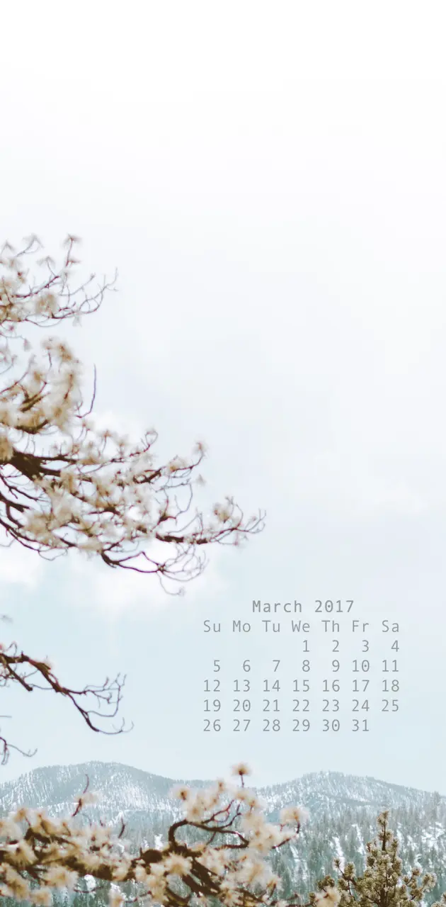 Calendar March 2017