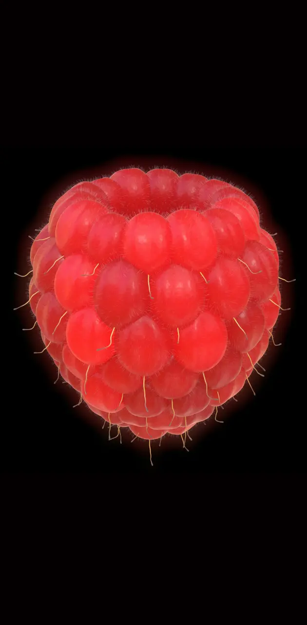 raspberry hd