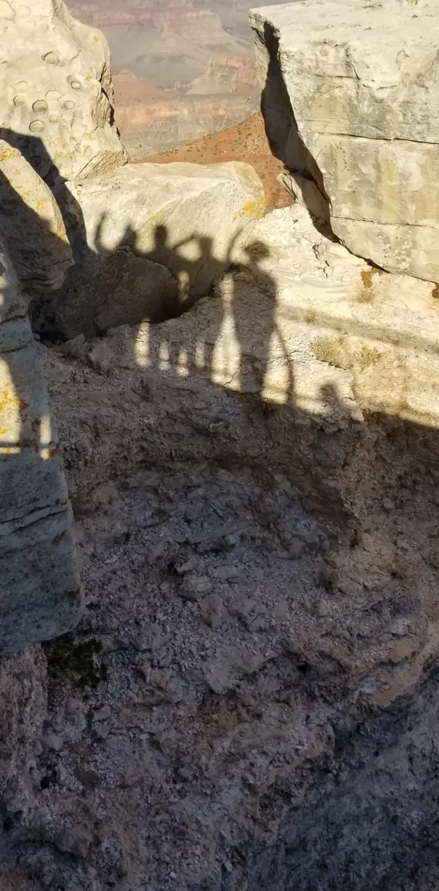 Shadow people
