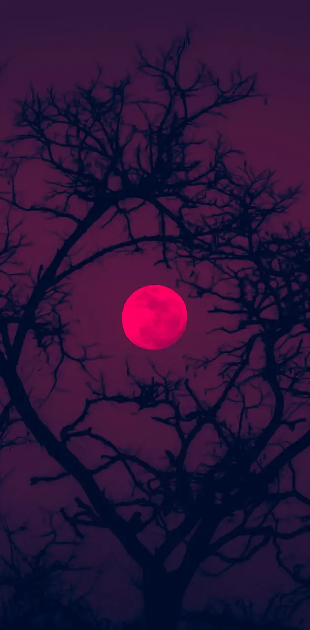 Blood moon