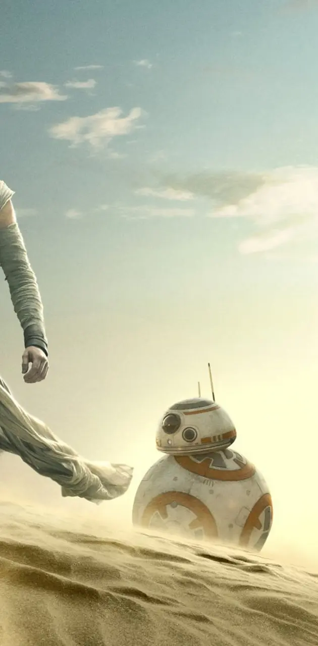 Rey And BB-8
