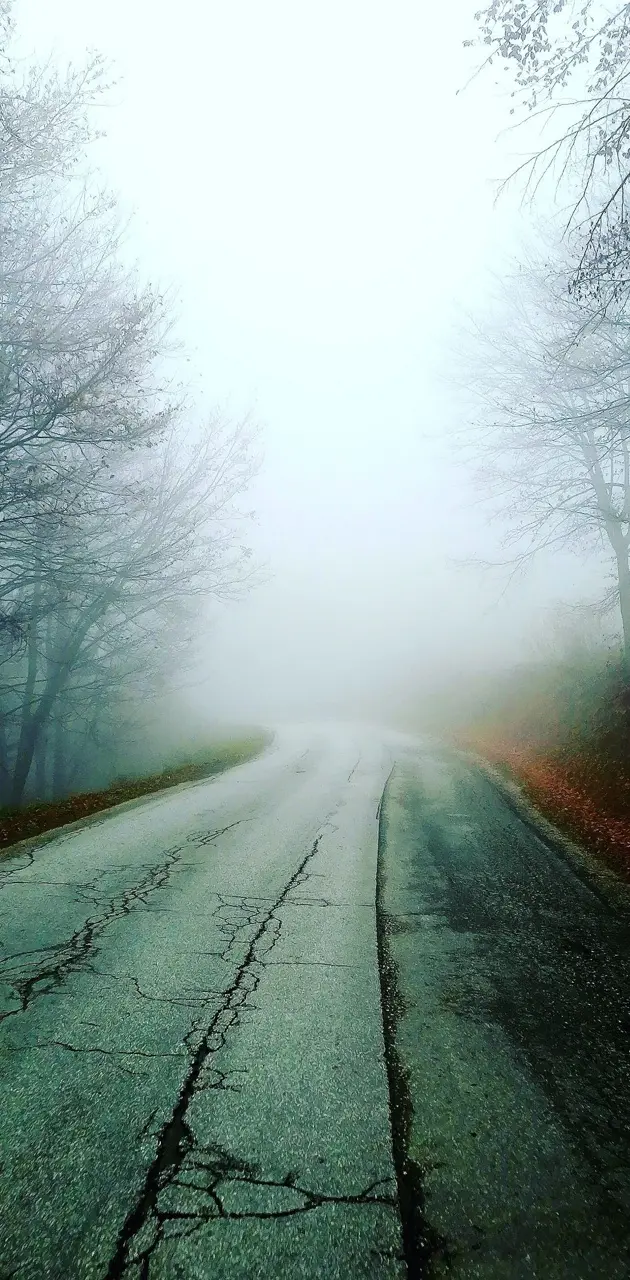 Nature fog