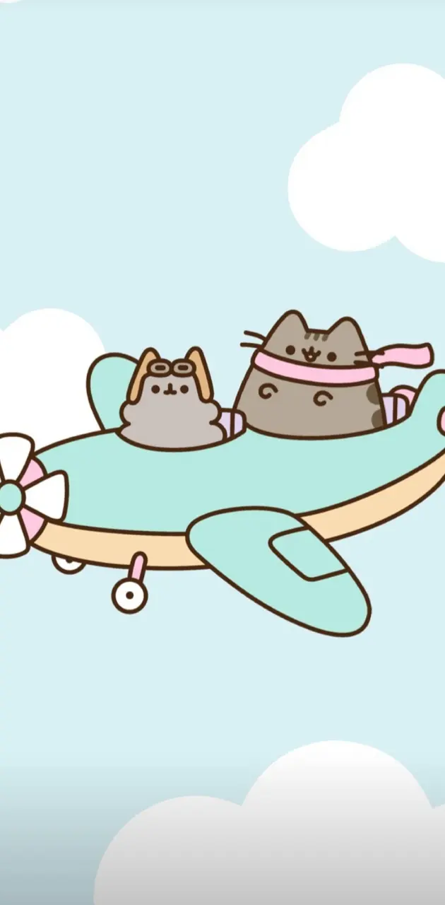 Pusheen and Stormy