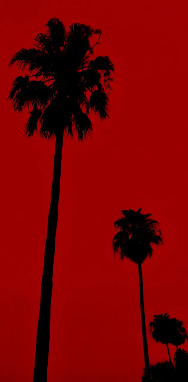 Red Palms