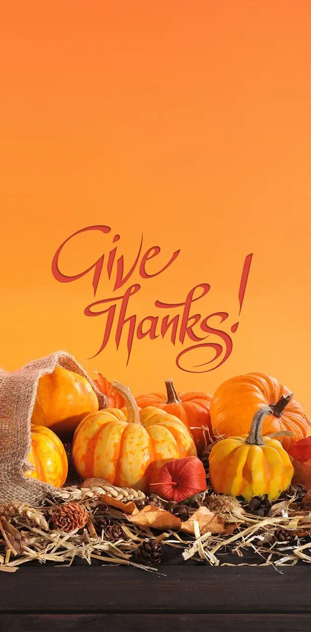Thanks Giving wallpaper by B6607 - Download on ZEDGE™ | c58e
